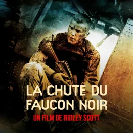 La Chute du Faucon Noir